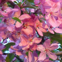 Photo Thumbnail #29