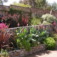 Photo Thumbnail #6: Plantings opposite the pool lend an exotic feel.