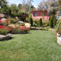 Photo Thumbnail #13: Main lawn surrounded by Napa cobble chip stone...