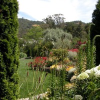 Photo Thumbnail #5: Peaking through to see the garden.