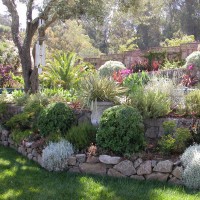 Photo Thumbnail #14: The border between the lawn and the pool terrace.