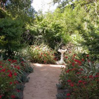 Photo Thumbnail #2: A decomposed granite walkway flanked by...