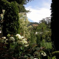 Photo Thumbnail #4: A view to the San Rafael hills through the...