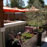 Photo Thumbnail #1: Ore metal planting containers in foreground.