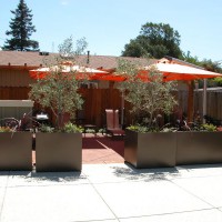 Photo Thumbnail #4: Entry off driveway into patio area.  Planters...