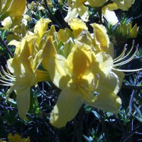 Photo Thumbnail #11