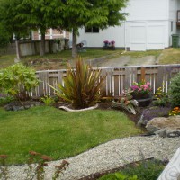 Photo Thumbnail #9