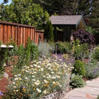 Photo Thumbnail #8: Front garden border.