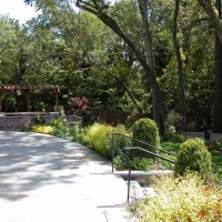 Photo Thumbnail #11: Main bluestone terrace with Buxus sempervirens...