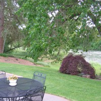 Photo Thumbnail #16