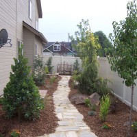 Photo Thumbnail #7: This client had a swamp for a side yard, so we...