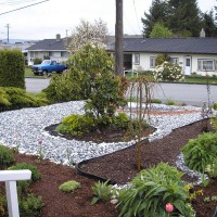 Photo Thumbnail #12: Herb area on the left; weeping Maple (not yet...