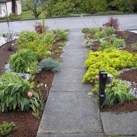 Photo Thumbnail #11: Much better front path now. I love curves!