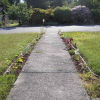 Photo Thumbnail #10: This is a very unimaginative front path which...