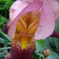 Photo Thumbnail #8