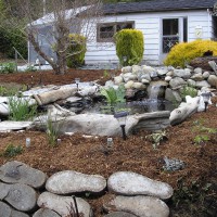 Photo Thumbnail #29: Small plants and ground cover on two sides....