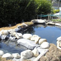 Photo Thumbnail #21: Top pond still needs work. Because pond needs...