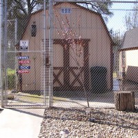 Photo Thumbnail #16: Double fenced entry area.