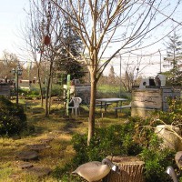 Photo Thumbnail #19: inside rescue area with forts, lights, plants &...