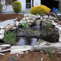 Photo Thumbnail #21: Driftwood to border the pond and hide the liner...