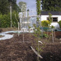 Photo Thumbnail #3: Made a winding gravel path to separate a garden...