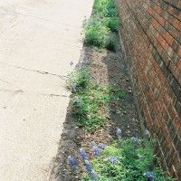 Photo Thumbnail #19
