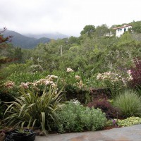 Photo Thumbnail #1: Views of cloud shrouded mountain beyond garden.