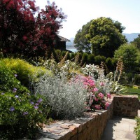 Photo Thumbnail #6: Planting frame view to San Francisco Bay.