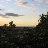 Photo Thumbnail #5: Tree view from our hot tub