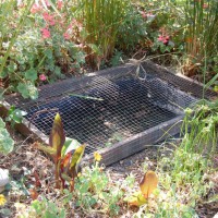 Photo Thumbnail #16: My attempt of a fish pond. Used a plastic...