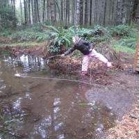 Photo Thumbnail #26: This big winter puddle is perfectly located...