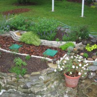 Photo Thumbnail #3: Side yard herb bed.