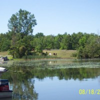 Photo Thumbnail #30: A farm with horses to the left of us