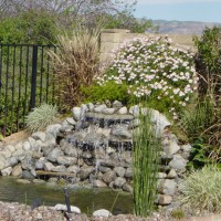 Photo Thumbnail #4: Our first landscape project was to add the...