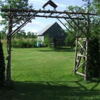 Photo Thumbnail #2: My husband built this cedar arbour-it's 8 feet...