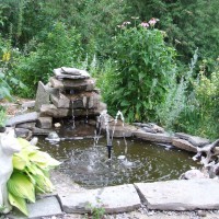 Photo Thumbnail #3: patio garden pond, about 4 feet diameter, with...