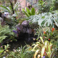 Photo Thumbnail #7: Balboa Park Conservatory
San Diego, CA