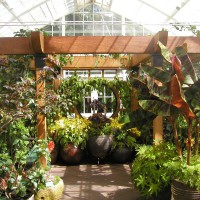 Photo Thumbnail #12: Conservatory of Flowers
Golden Gate Park
San...