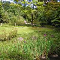 Photo Thumbnail #13: Strybing Arboretum
Golden Gate Park
San...