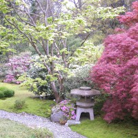 Photo Thumbnail #4: Japanese Garden, Washington Park Arboretum...