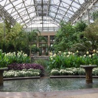 Photo Thumbnail #21: Conservatory, Longwood Gardens, Kennett Square, PA