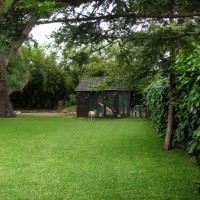 Photo Thumbnail #29: Sam and Chicken Coop