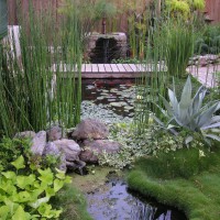 Hardiness Zone 9 Landscaping Ideas, Front Yard Landscaping Ideas Zone 9