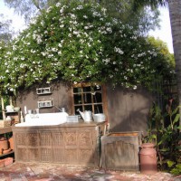 Photo Thumbnail #14: Potting Sink on Rubble Patio