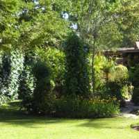 Photo Thumbnail #27: Vegetable garden from croquet course