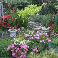 Photo Thumbnail #19: Flower Garden