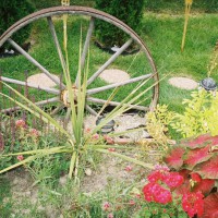 Photo Thumbnail #10: a maturing peace garden...