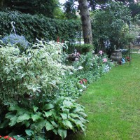 Photo Thumbnail #6: Shaded part of the garden