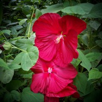 Photo Thumbnail #8