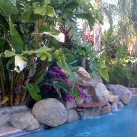 Photo Thumbnail #6: Our oasis :-)